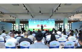湘茶遇匠心！沉浸式围观茶艺比拼