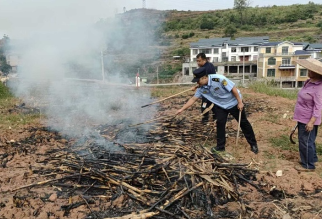 马颈坳镇：织密禁烧防护网 守护秋日蓝天