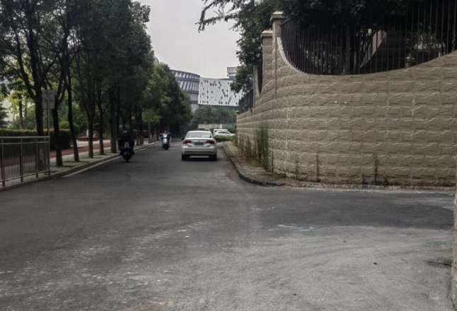 吉凤街道：快速处置问题 筑牢环境防线