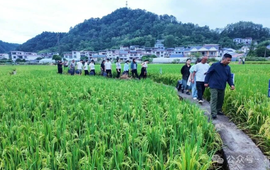 开课了！吉首这场农技培训超“有料”