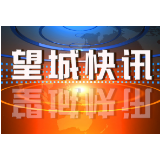 突出党建引领 全力以赴抓好软弱涣散党组织整顿
