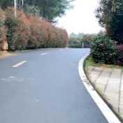 静慎家园：“换”出新路子 住进新房子