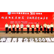 喜讯！大汉控股再次上榜中国民营企业500强！