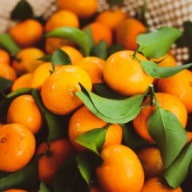 【正是望城好“丰”景】袅袅秋风动,望城柑橘丰收啦