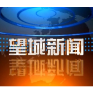 2024年10月31日望城新闻