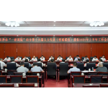 长沙市“一府两院”向市十六届人大代表望城联组通报上半年工作