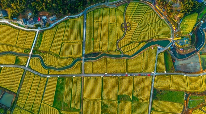 微信截图_20250321155544.jpg