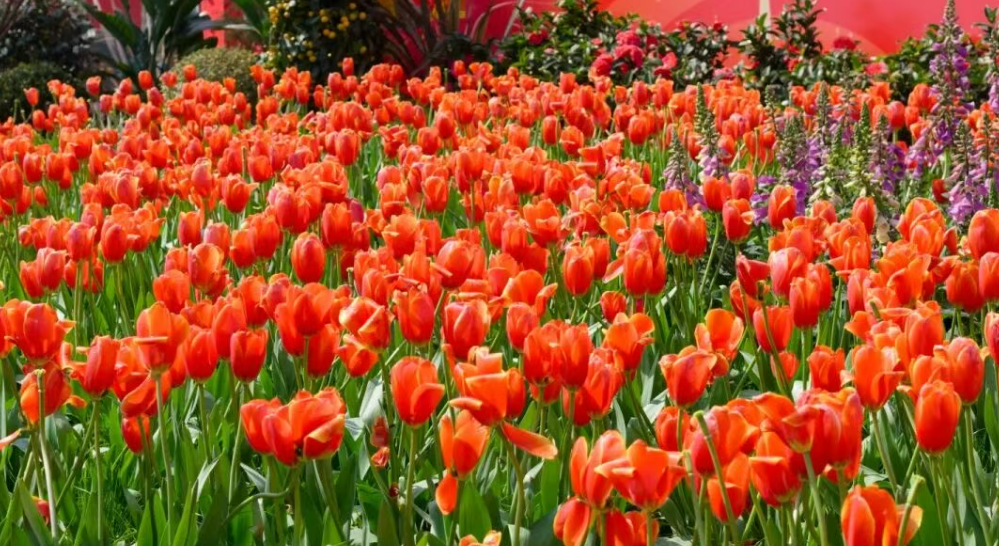 ad1a574af0b590f124e74c78a3c3f301.png ad1a574af0b590f124e74c78a3c3f301.png