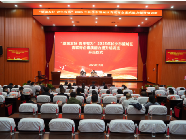 2025年望城区青联青企素质能力提升培训班开班