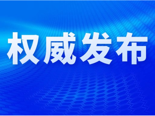 关于补选19名区三届人大代表的决定