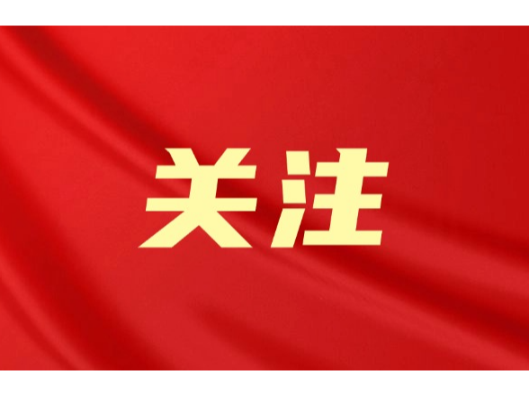 望城区审计局创新“廉政教育三步走”锻造忠诚清廉审计铁军