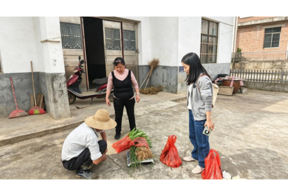 党建联建聚合力 乡村振兴添动力