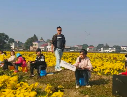 画画画……与皇菊花海来一场金黄色的邂逅！