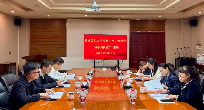 聚焦“十五五”规划 共绘现代化新望城蓝图