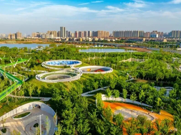 望城之变——2025年度特稿