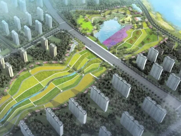 雏形初现！望城这个公园建设有新进展！