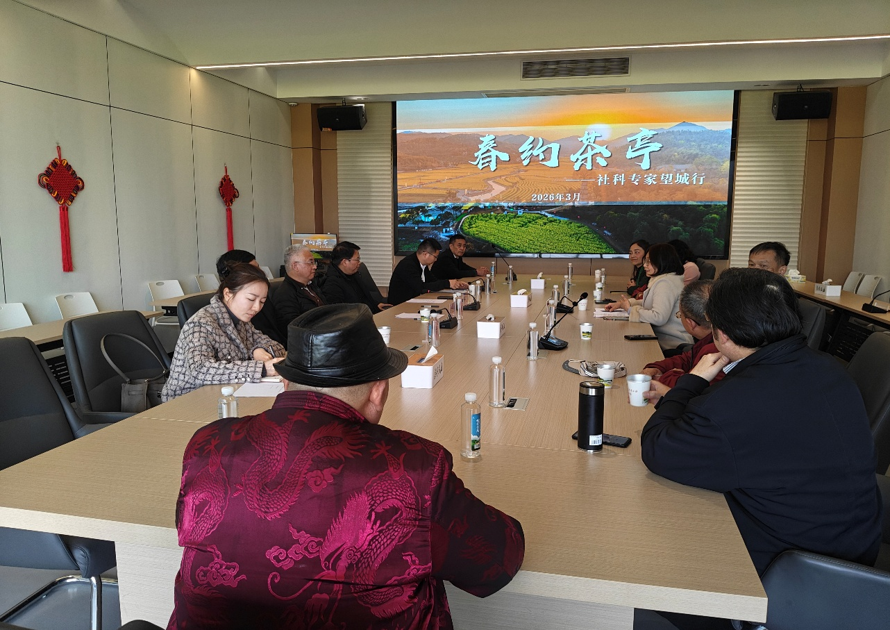 春约茶亭·社科专家望城行 | 社科专家共话书法艺术赋能乡村振兴