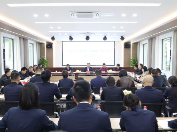 蔡锋带队调研区产投集团运营发展情况