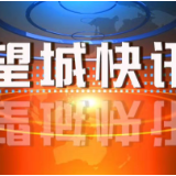 金星大道提质改造进展顺利 总进度完成过半