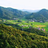 白箬铺镇：党建引领 打造乡村振兴示范样板