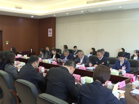 望城区政协四届一次会议举行分组讨论