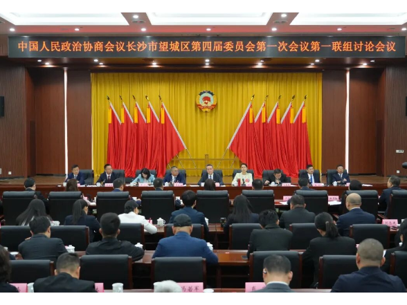 许凡参加区政协四届一次会议第一联组讨论