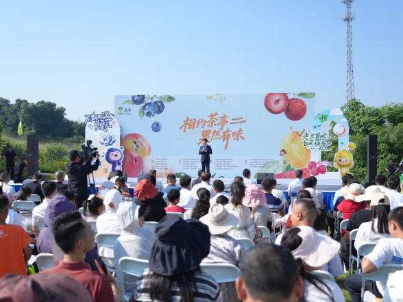 望城区第四届茶亭果蔬采摘消费季正式启动 秦国良出席