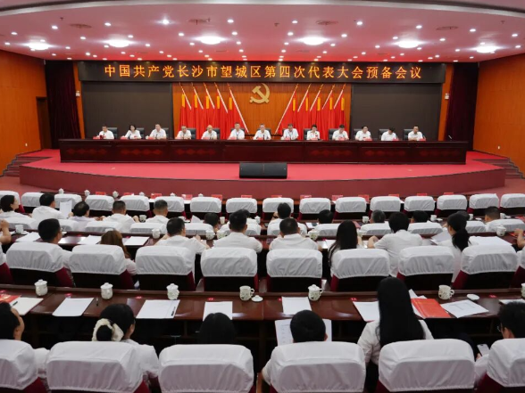 望城区第四次党代会举行预备会议 许凡主持