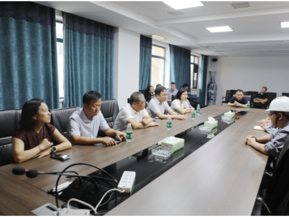 望城区政协主席会议成员视察全区应急管理工作