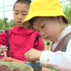 寻古踏青  “靖”在咫尺