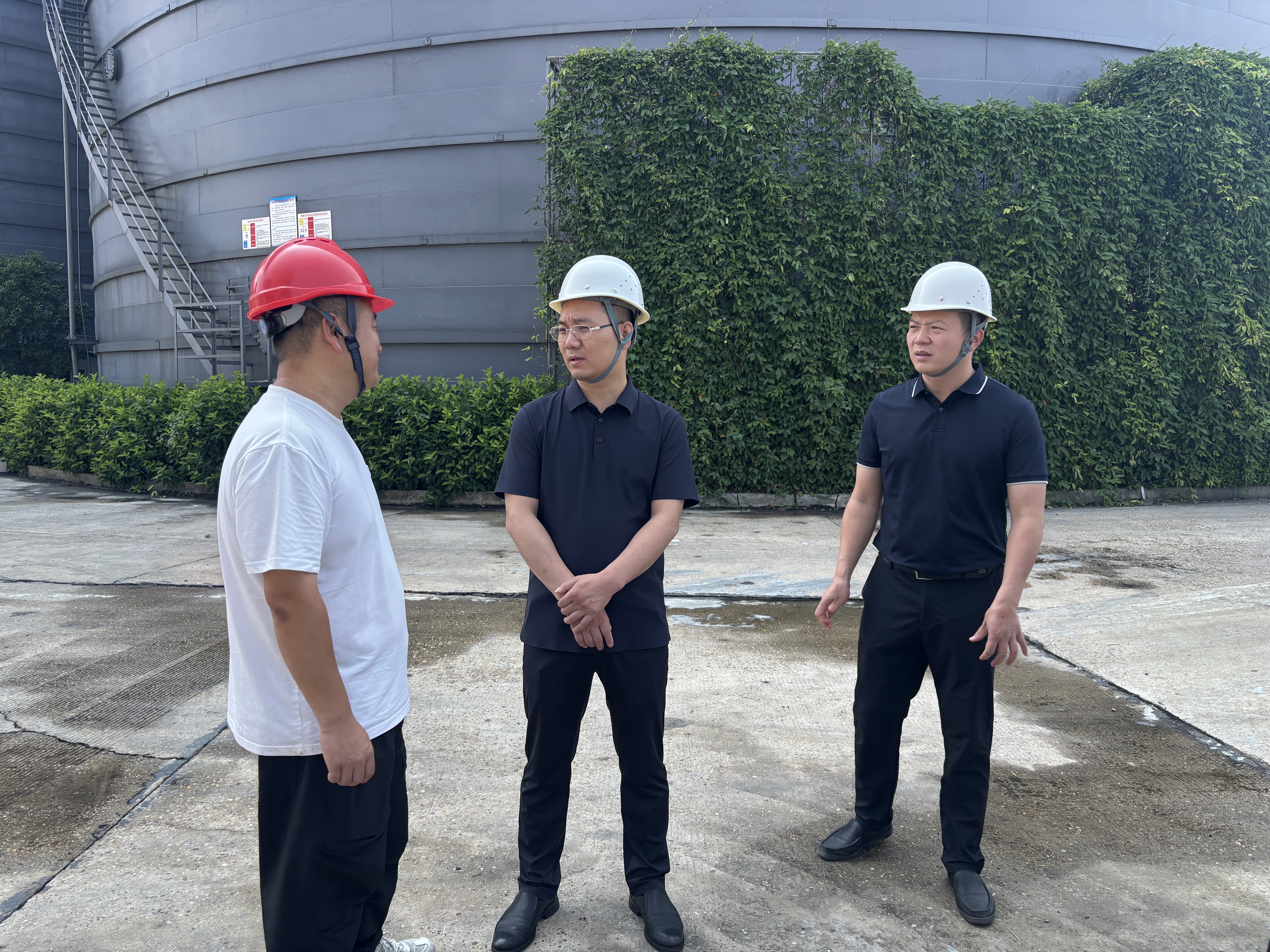 微信图片_20260617123713_141_158.jpg 微信图片_20260617123713_141_158.jpg