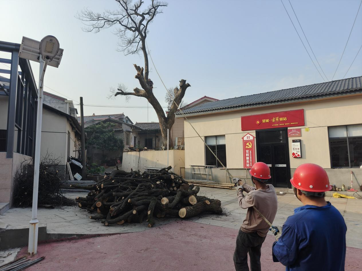 图片1.png 图片1.png