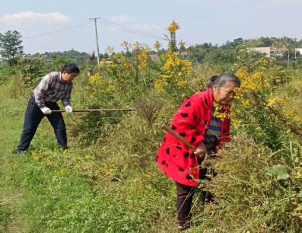 0b2a5d008a0e158e5bebef87d3bcdd4.png 0b2a5d008a0e158e5bebef87d3bcdd4.png