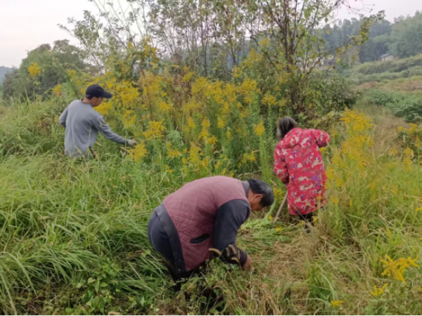 ffa157d83c1dbee085229cb0e6f0223.png ffa157d83c1dbee085229cb0e6f0223.png