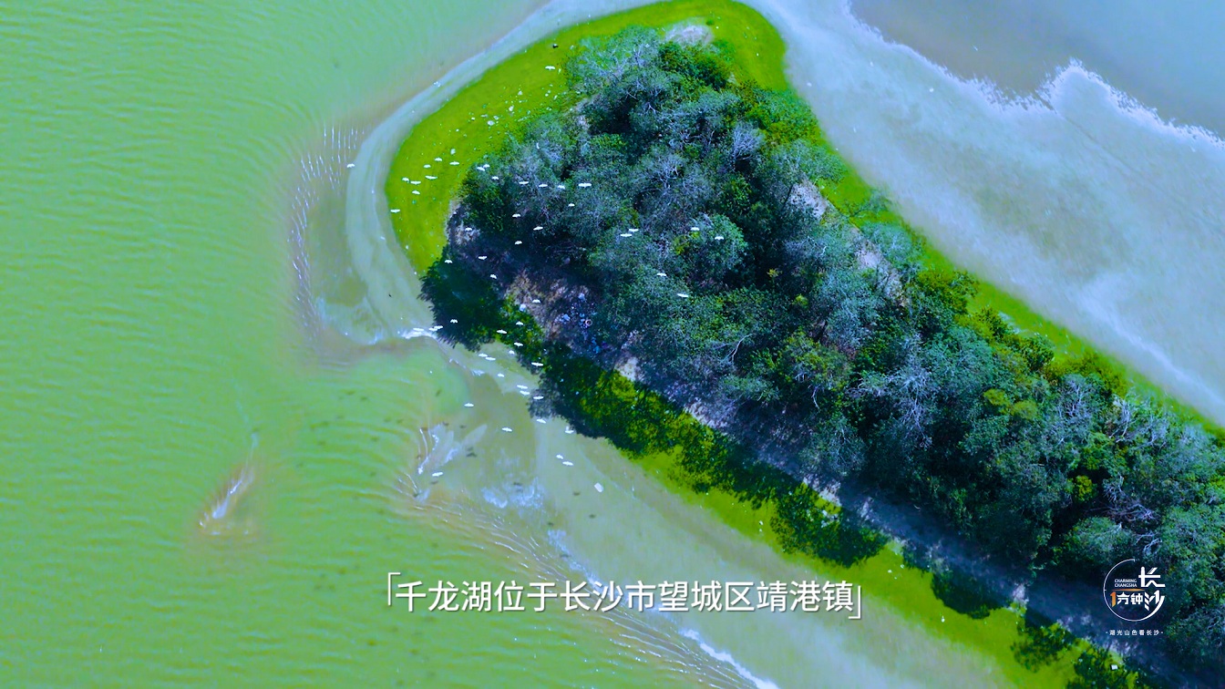 千龙湖 中文[00_00_31][20251028-183805].png