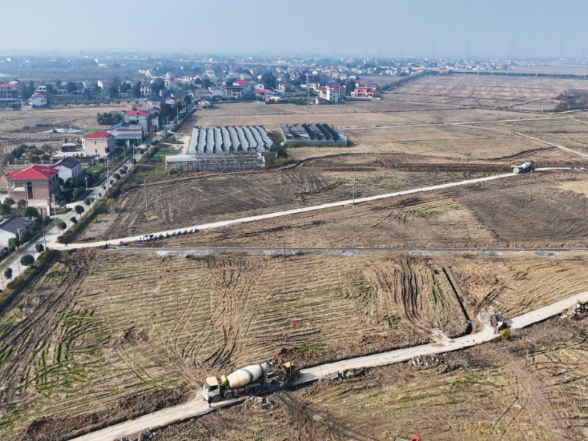 望城4万亩农田提档升级，具体涉及这些地方……