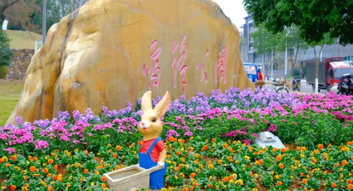 焕新升级！在望城这个公园，玩出新花样！