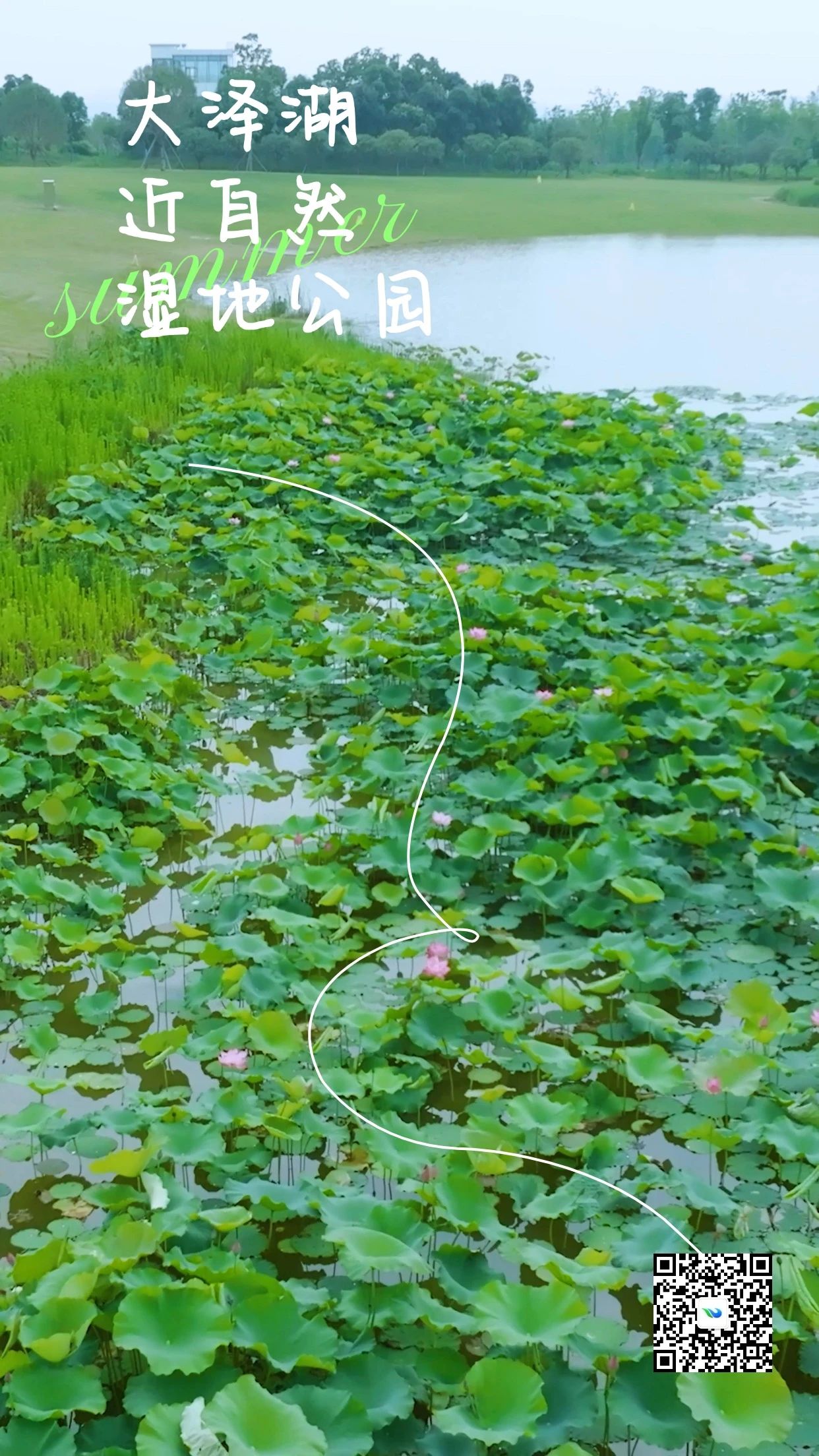 微信图片_20250609095433.jpg