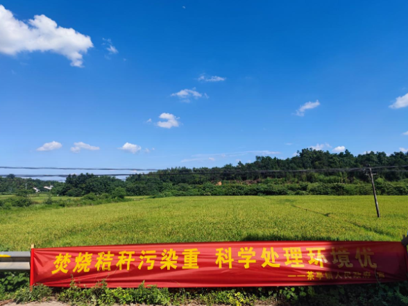 茶亭镇狮子岭村：推进秸秆禁烧 守护蓝天沃土