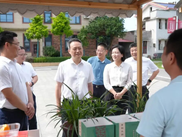 许凡调研靖港镇经济社会发展情况并督导乡村特色产业高质量发展工作