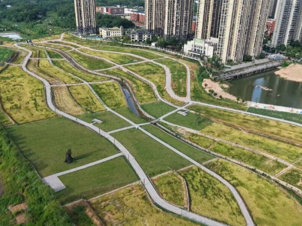 又添打卡地！望城这个公园即将开园迎客