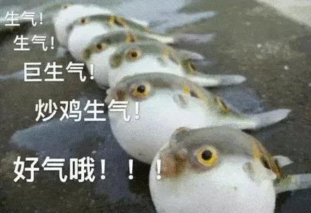 微信图片_20210721090002.jpg