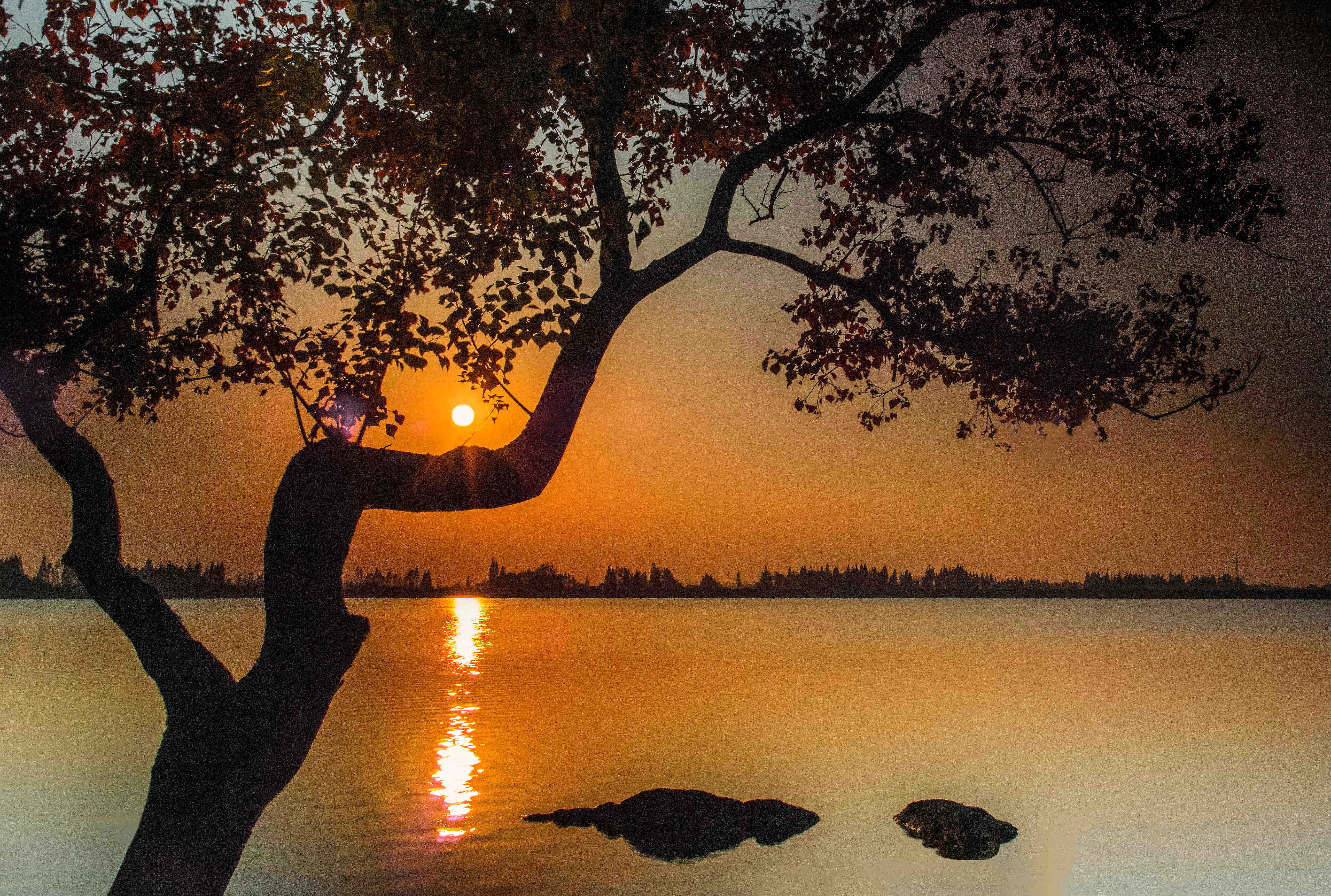 107、夕阳_副本.jpg