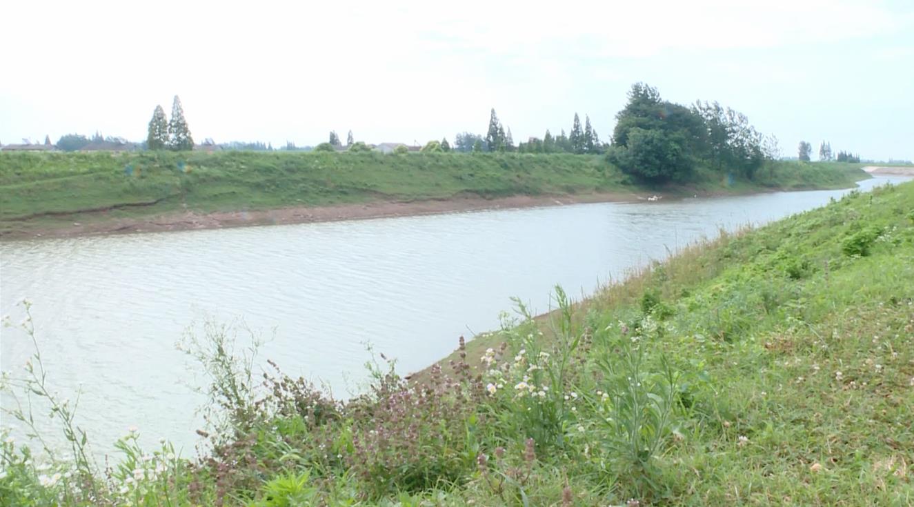 在禹山镇藕池河段,陶伟军边走边看,详细了解河道治理,河流日常管护
