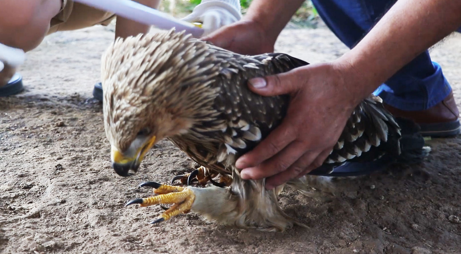 微信图片_20210924162117.jpg 微信图片_20210924162117.jpg