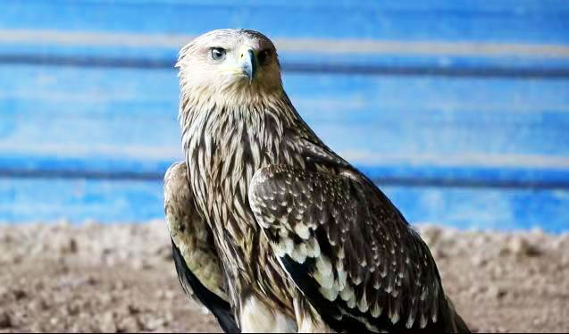 微信图片_20210924162122.jpg 微信图片_20210924162122.jpg