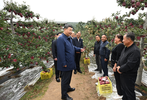 第一观察·瞬间 | 小苹果大情怀