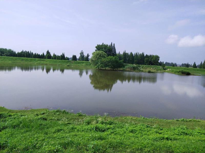 微信图片_20200703110119.jpg 微信图片_20200703110119.jpg