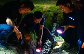 视频|直击夜晚巡堤查险现场  