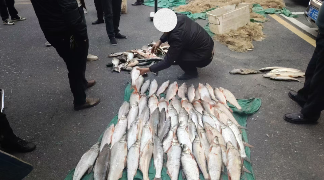 微信图片_20251028123135_2357_45.png 微信图片_20251028123135_2357_45.png